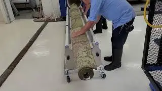 Rug Transfer Cart by Centrum Force in use saving backs and making area rug cleaning easier.