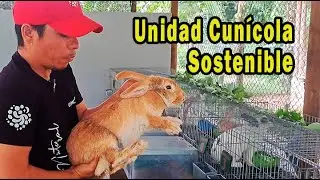 CUNICULTURA SOSTENIBLE 🐇🐰🐇