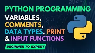 Python Programming: Variables, Comments, Data Types, Print & Input Functions | In Hindi