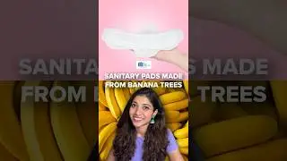 #SanitaryPads From #BananaTrees | The CSR Journal | #BioDegradable #EcoFriendly
