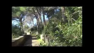LA GEOLOGIA DEL MONTE NUOVO