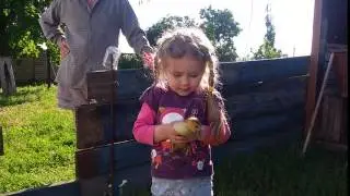 ВАРВАРА КРАСА И  БЕШЕНЫЕ УТКИ - BARBARA KRASA AND MAD DUCK