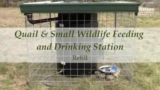 Quail & Small Wildlife Feeding and Drinking Station
