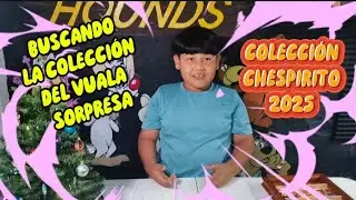 BUSCANDO LA COLECCION DEL VUALA SORPRESA // Soy Dashiel