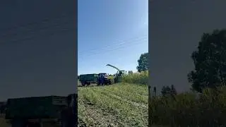 Its corn timee 🌽 #silage #cornsilage #farming #agriculture #farmlive #timelapsd #corn