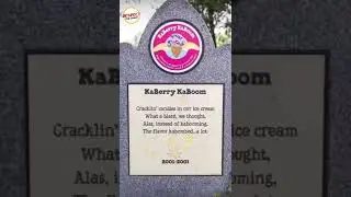 Ben & Jerry&rsquo;s Flavor Graveyard &ldquo;Respect the Chain&rdquo;