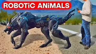 Most Advanced Robotic Animals in 2023 That Will Blow Your Mind