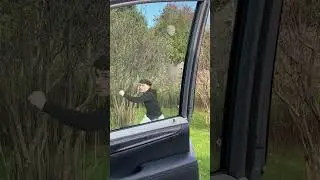 Trying to knock down a hornets nest