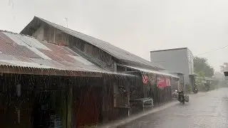 Walking in Super Heavy Rain and Lightning | Fear of Floods | Indonesian Village Life
