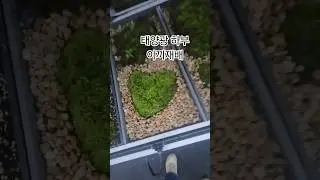 태양광 발전 아래 이끼재배 Tree100