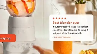 $29 Blender That Does It All? Bella Countertop Blender Honest Review!