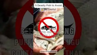 Deadly Fish EXPERT Reveals the 5 Most Dangerous Species #toxicfish