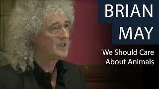 Why Should We Care About Animals? | Brian May | Oxford Union