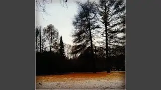 Coldwalls (feat. Ruby Bulbs)