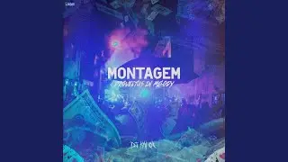 Montagem Provectus in The Melody 1 (Ultra Slowed)