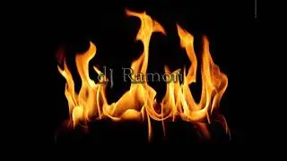 flash $ ** 69 ** $ ** Dj Ramon mix
