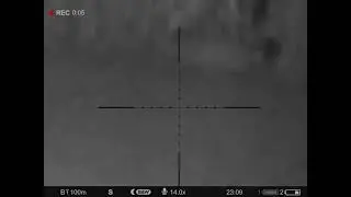 Fox Hunting on the corn field - 30-06 Manlicher CL II SX