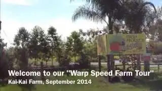 Warp Speed Tour of Kai-Kai Farm