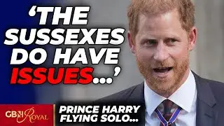 Prince Harry and Meghan have 'ISSUES' as Duke separates for solo travel as couple dynamic REVEALED