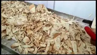 Jack Fruit powder making