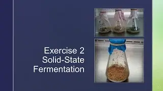 InBt121 Laboratory Exercise No. 2-Solid State Fermentation