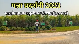गन्ना प्रदर्शनी IISR लखनऊ | colk15201,colk16202,15466,12207,15206,14201,14204 आदि