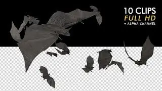Flying Bats - Pack of 10 | Motion Graphics - Videohive template