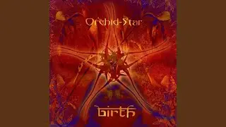 Orchid-Star - Khambhat