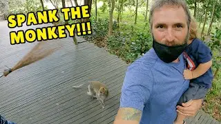 SACRED MONKEY FOREST SANCTUARY | NO TOURISTS! | Bali Road Trip | Travel Bali with KIDS