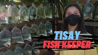 Ornamental fish street vendor (ep1) | Philippines Local fish market feat. Tisay Fish Keeper