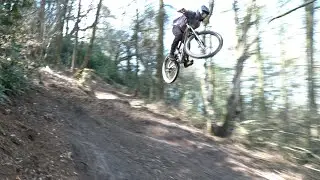 DAVE IN BLOOM (50to01)