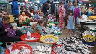 Chbar Ampov Fish Market Tours - Cambodian Lifestyle Of Vendors Selling Fish In Fish Market