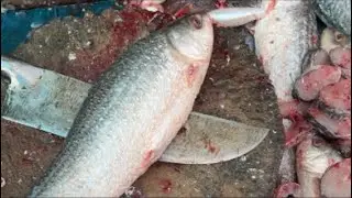 Live Fish Cutting Performance. #fishcutting #livefishcutting #amazingskills
