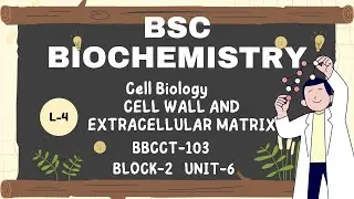 L-4 Cell Wall and Extracellular Matrix | BBCCT-103 | Block-2 Unit-6 | IGNOU B.Sc Biochemistry