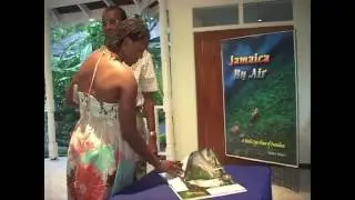 JAMAICA BY AIR _for web.mov