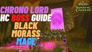 The Black Morass  Heroic Guide: TBC Dungeon Guide - Chrono Lord Deja Boss fight