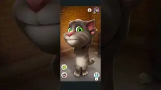 Talking Tom Cat (2016) Gameplay, By Outfit7 (Old)