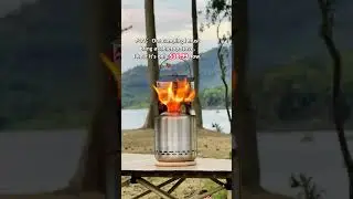 🚨 *