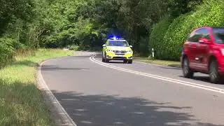 Blue Light Aware Short 5   Double White Lines
