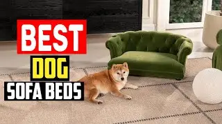 ✅Top 5 Best Dog Sofa Beds, So Your Dog Can Lounge Like People in 2025
