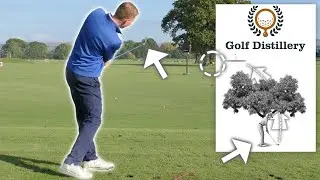 How to Hit a DRAW PUNCH SHOT Around Trees