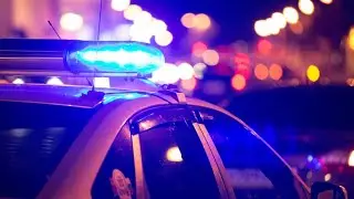4 people allegedly drove a man from Indianapolis to Delaware County and burned him alive