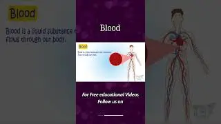 Human Circulatory System | Heart, Blood | Composition of Blood | Circulatory System, Science #shorts