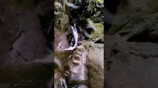 Cascade paradise