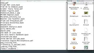 Organizing Files  with mkdir, mv || 