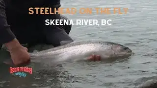 FLY FISHING: SKEENA RIVER STEELHEAD