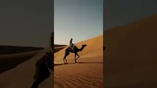 Maghreb Sans Fronti&egrave;res ?!
