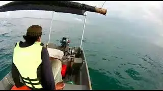 trolling tenggiri