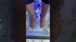 Fish pedicure🐠😱🤯Is it Worth Trying❓Health Risks😥#shorts #fishspa #fishpedicure #ashortaday #vlog