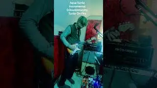 Aqua Turtle (full length)